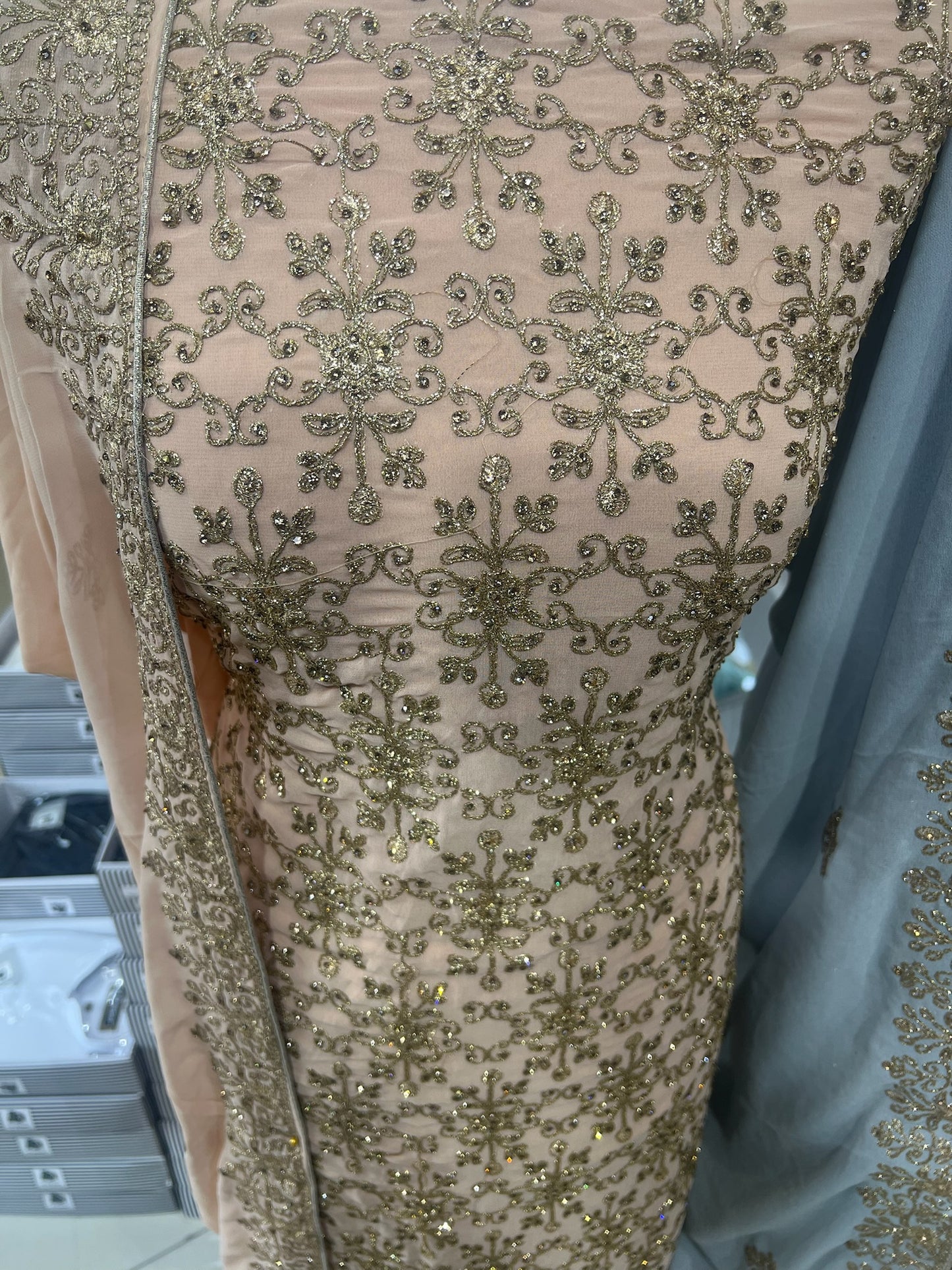 Fancy Embellished Georgette