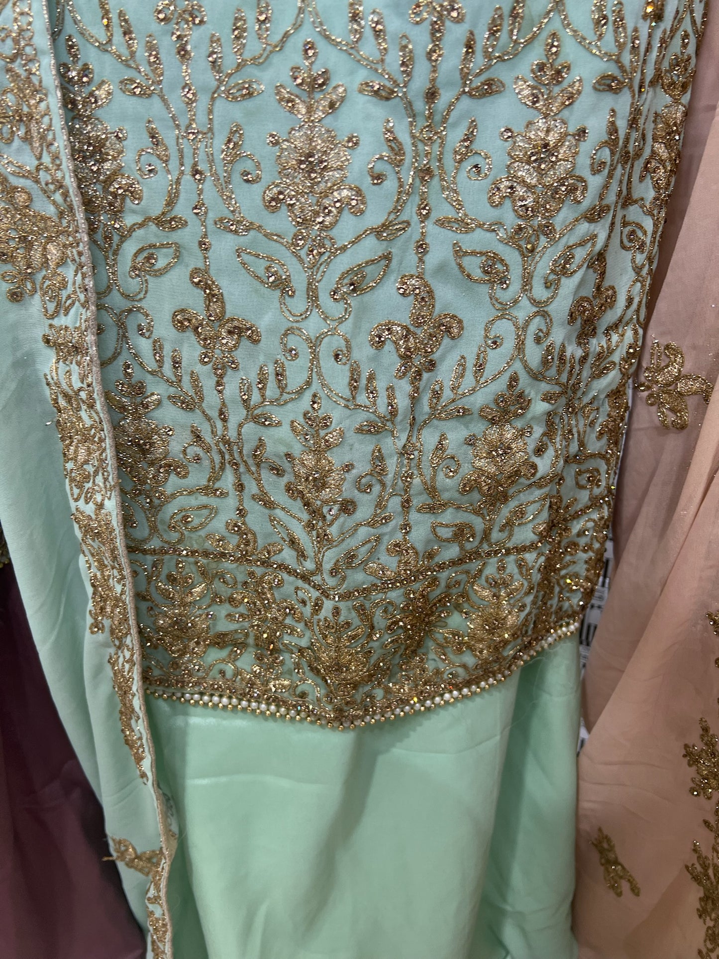 Fancy Embellished Georgette