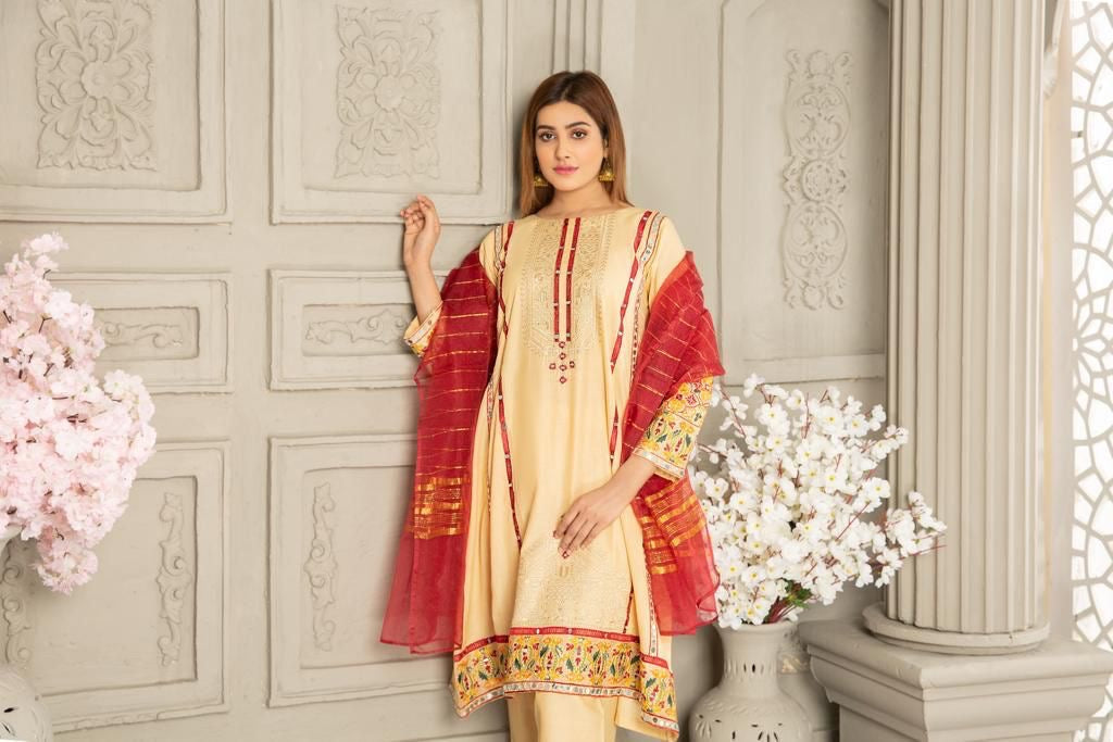 FROCK Readymade Suit