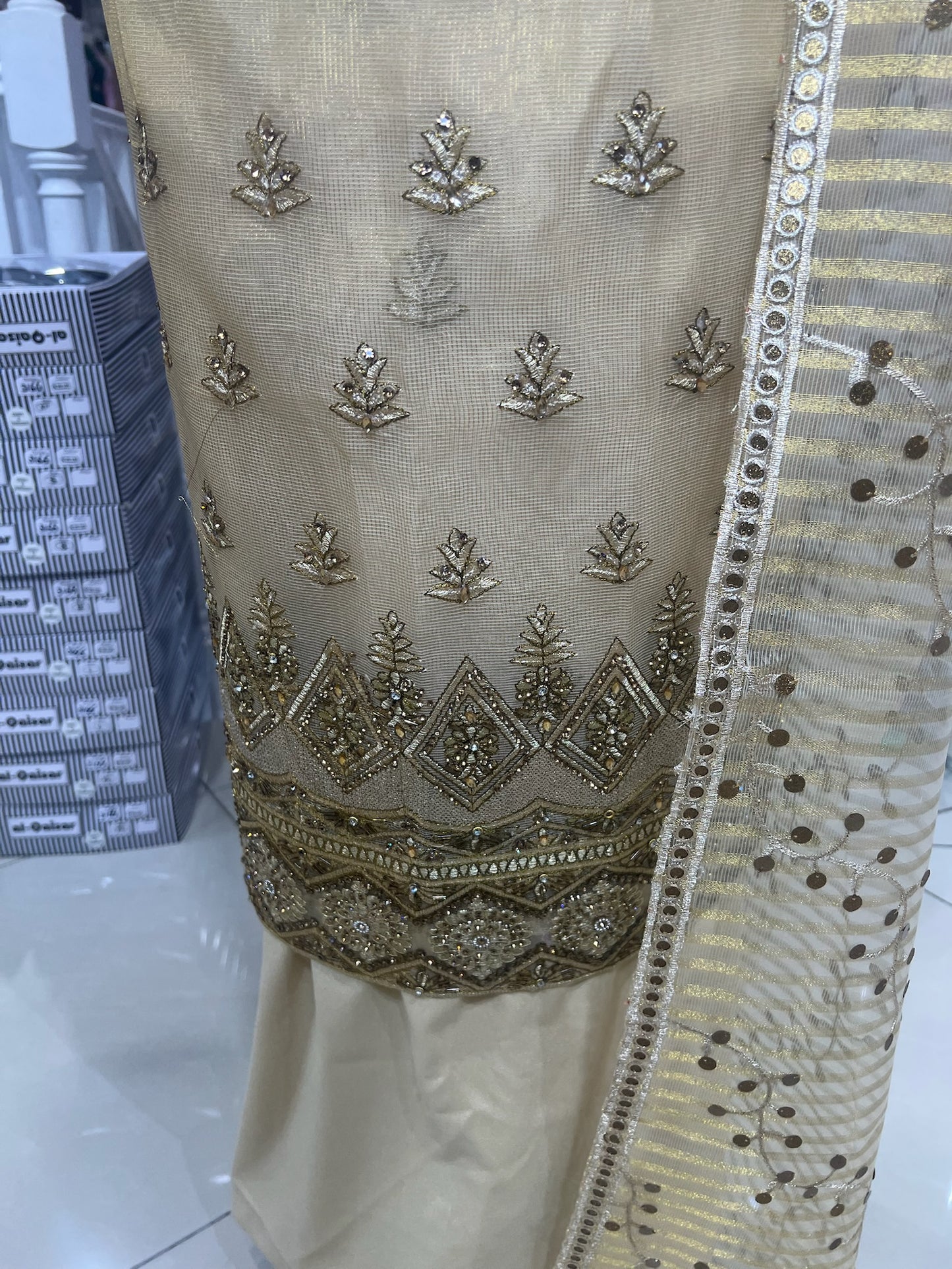 Fancy Embellished Chiffon & Organza