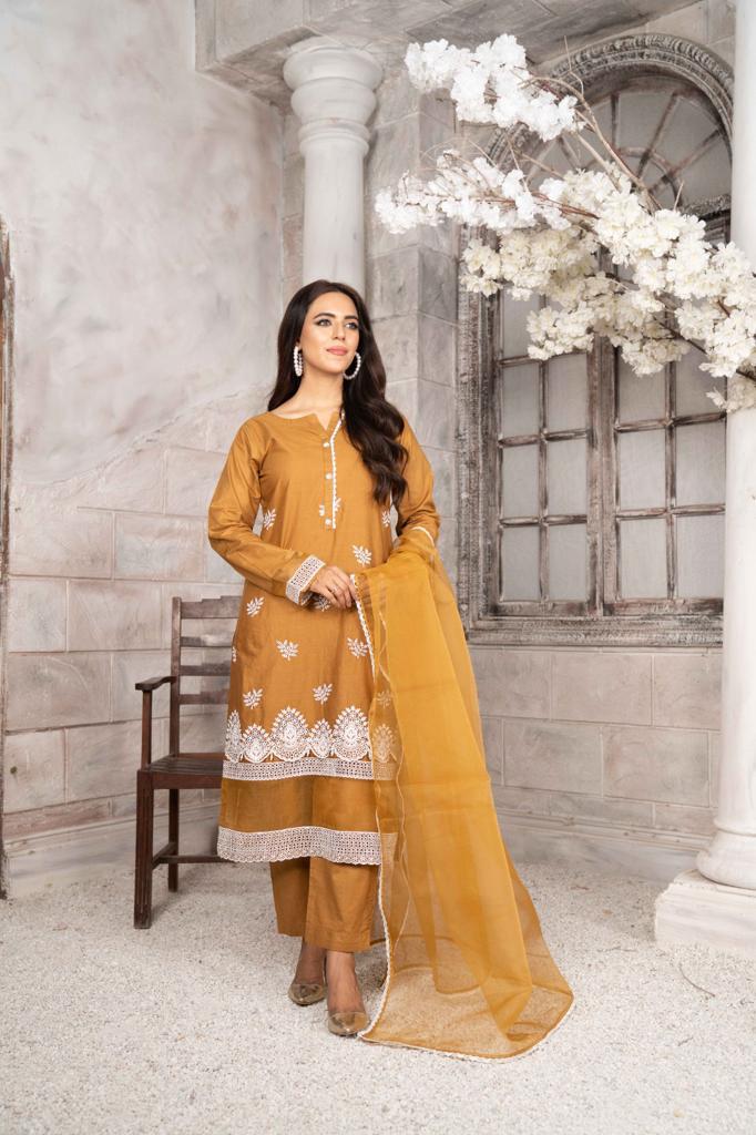 Chikankari Cotton Pret