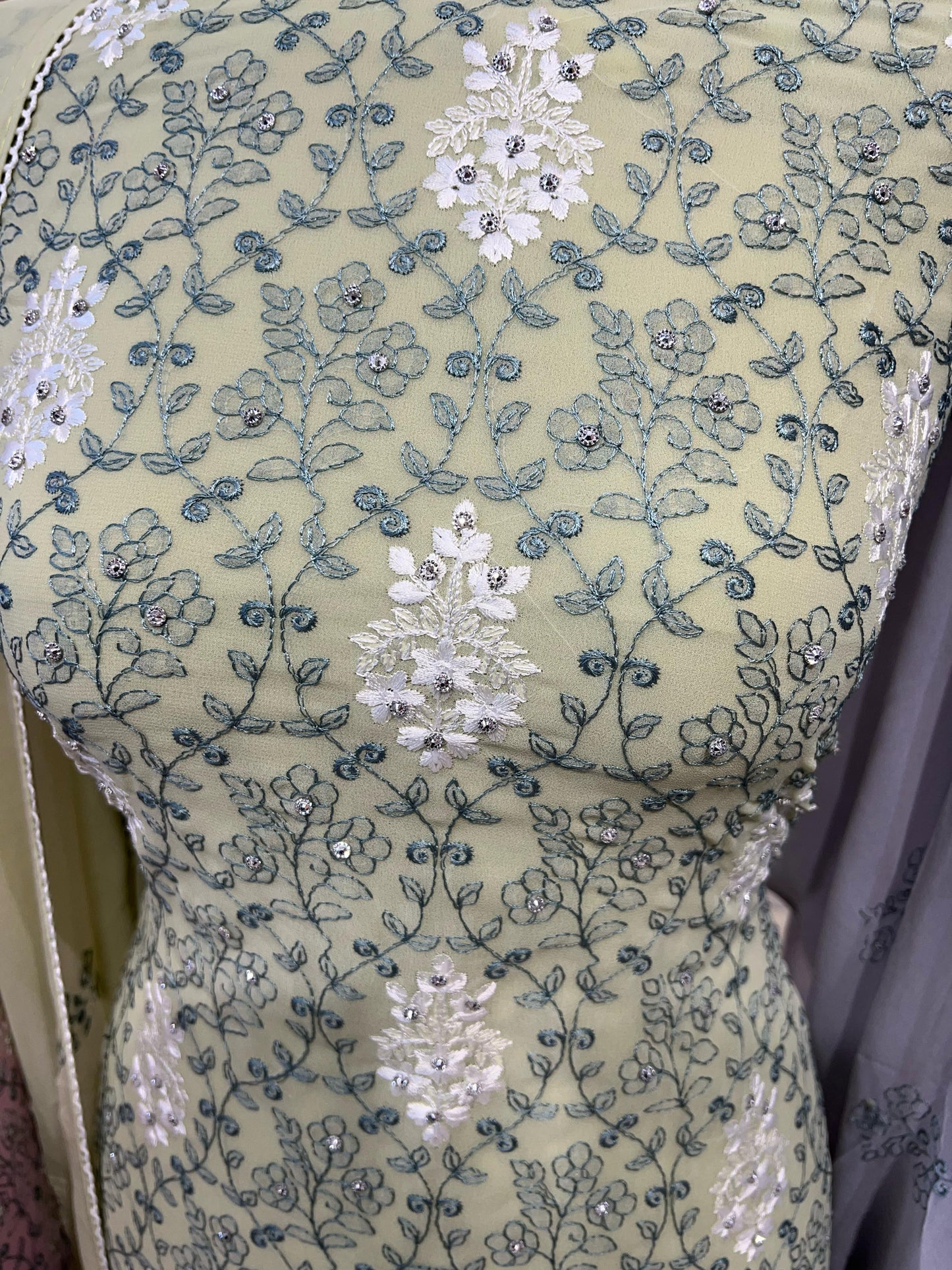 Embroidered Georgette