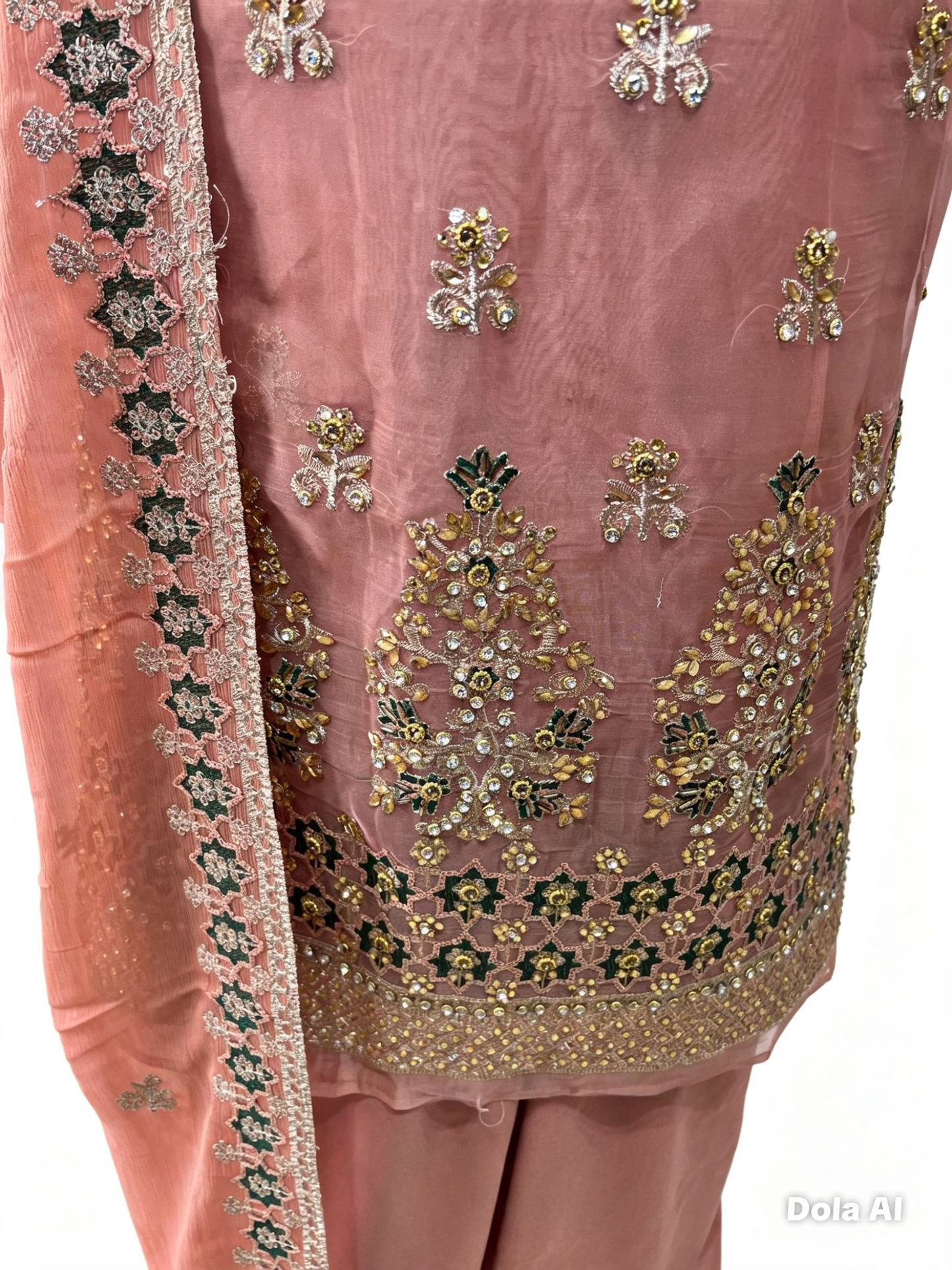 Embroidered Embellished Fancy Chiffon Organza