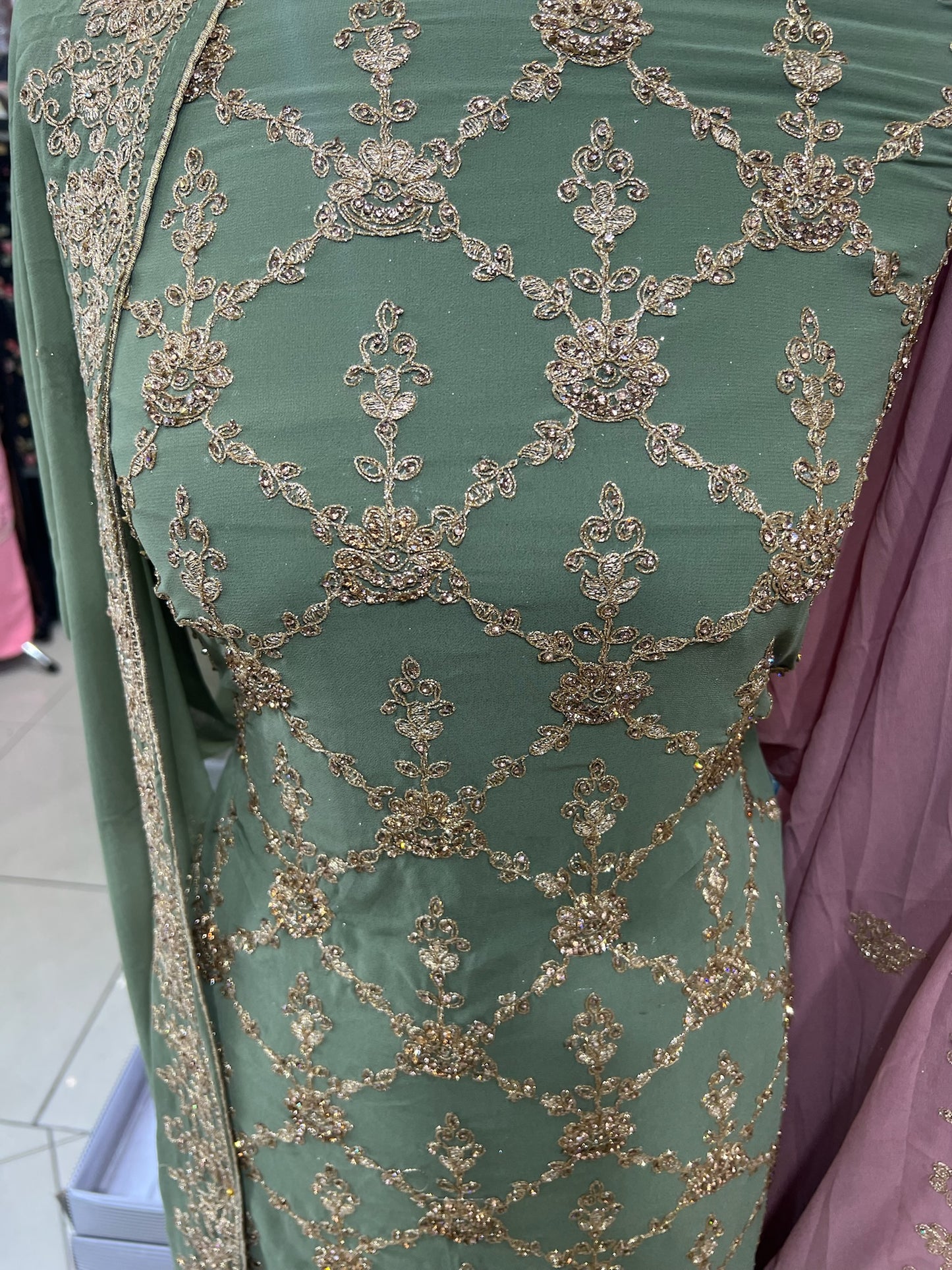 Fancy Embellished Georgette
