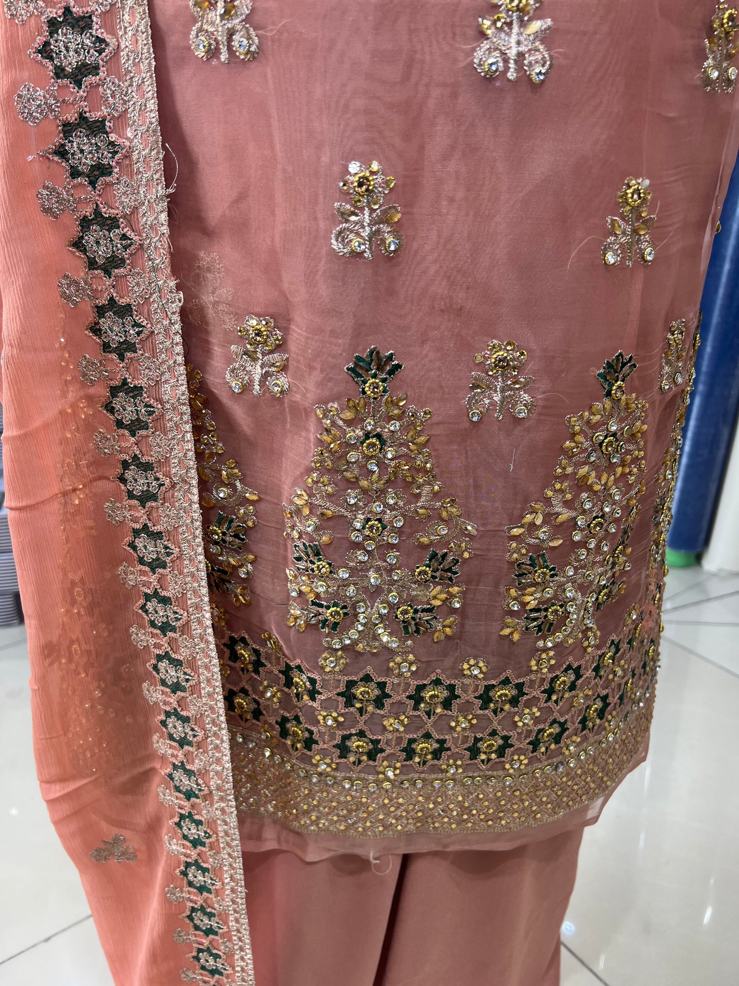 Embroidered Embellished Fancy Chiffon Organza